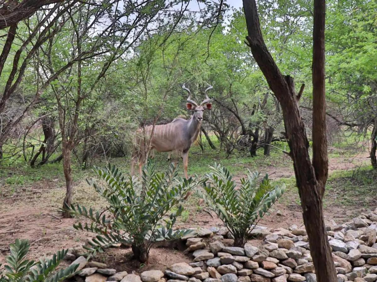 Apartmán Chelesa By Kruger Nights Marloth Park Exteriér fotografie