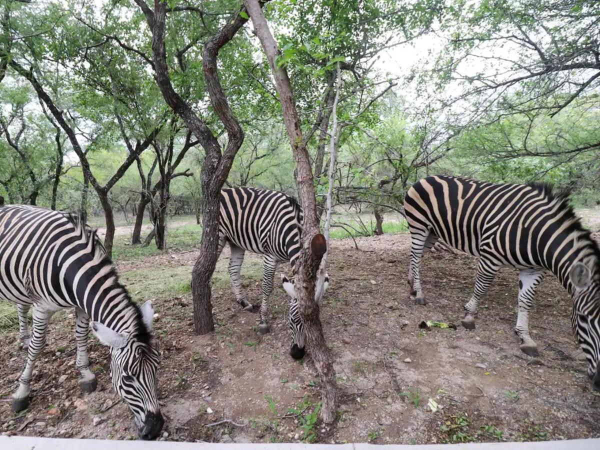 Apartmán Chelesa By Kruger Nights Marloth Park Exteriér fotografie